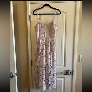 Express Lace Overlay Midi Dress in Lilac